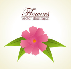 Flowers design