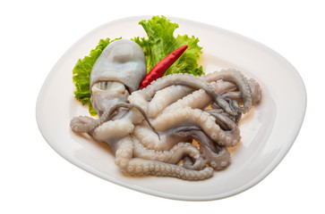 Raw octopus