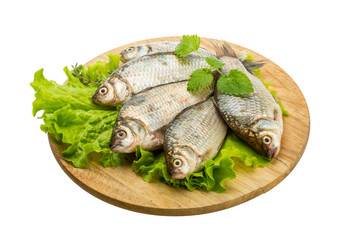 Crucian fish