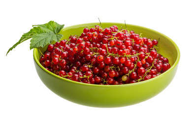 Red currant