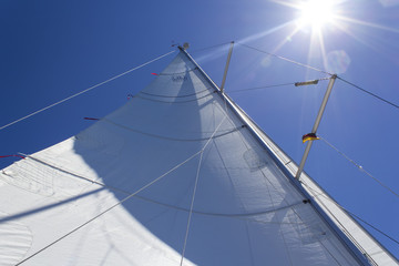 Segeln unter der Sonne