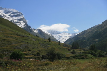 Fototapeta na wymiar Paysage de Montagne - Alpes