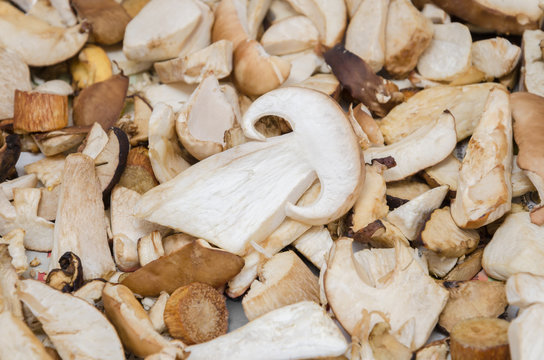 Pilze trocknen