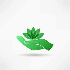 Hands and plant icon