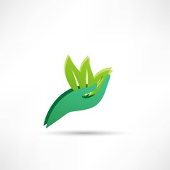Hands and plant icon