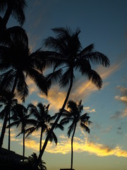 Fototapeta na wymiar Hawaii Big Island Sunset Palms Moon-11
