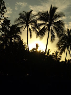 Hawaii Big Island Sunset Palms Moon-9
