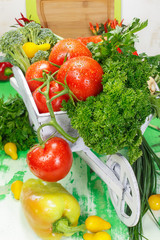 Vegetables. Harvest of fresh vegetables and herbs