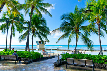 Beautiful view of Honolulu, Hawaii, United States - obrazy, fototapety, plakaty