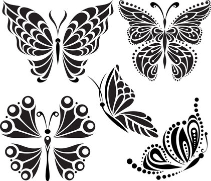 Butterflies silhouette. Drawing of lines and points. Options