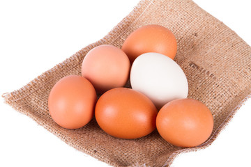 Healthy Natural Organic Eggs