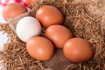 Organic Eggs in Nest