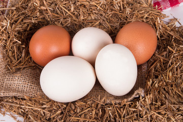 Organic Eggs in Nest