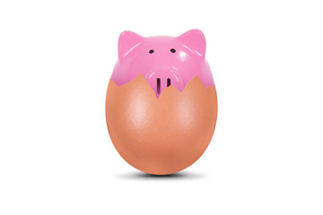 Piggy Bank in Broken Egg