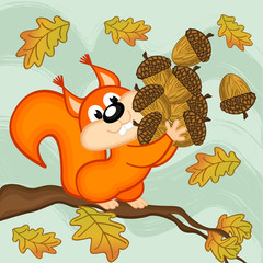 squirrel gathers acorns - vector illustration, eps