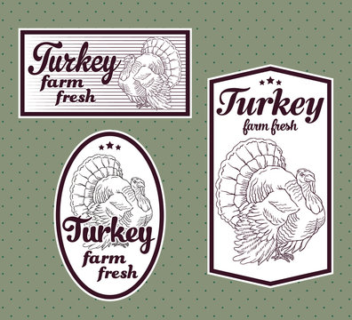 Turkey vintage labels