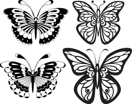 Symmetrical silhouettes butterflies with open wings tracery