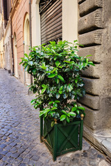 Fototapeta na wymiar Old streets of Rome, Italy