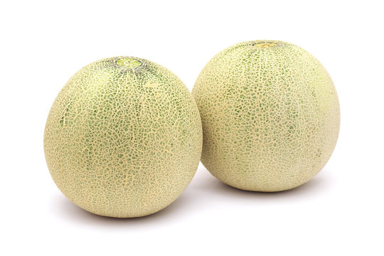 Two musk melons isolated on white background