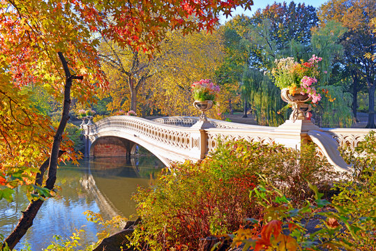 Fototapeta Autumn Colors - fall foliage in Central Park, Manhattan,New York