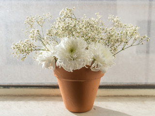 white flowers in orange pot - 69358319