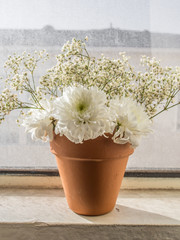 white flowers in orange pot - 69358320