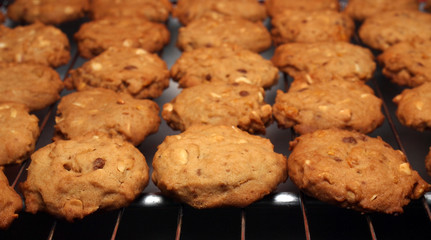 Cashew nut cookies on steel grid after oven