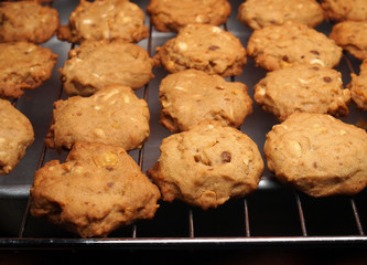 Cashew nut cookies on steel grid after oven
