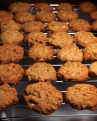 Cashew nut cookies on steel grid after oven