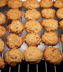 Cashew nut cookies on steel grid after oven
