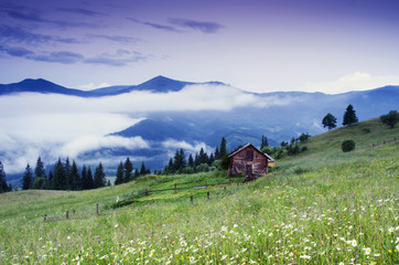 evening mountain plateau landscape (Carpathian, Ukraine)