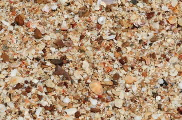 Sand  Wallpaper