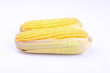 corn on a white screen