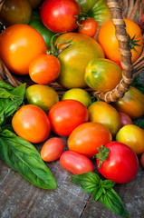 multicolored tomatoes on wooden background