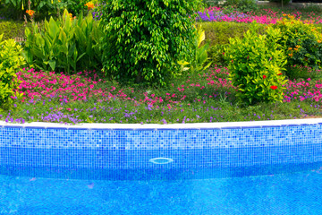 Swimming pool in the garden