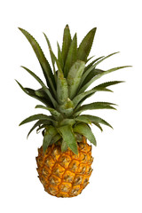 pineapple on paper background