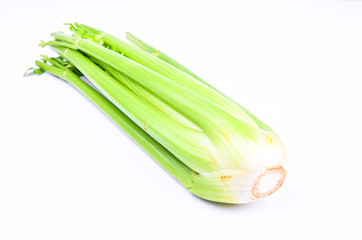 celery on a white screen