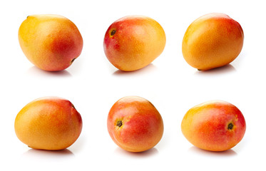 Mango fruit