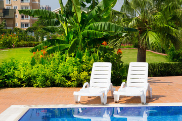 Sun chairs at the pool