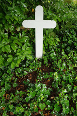 Feuchtes kühles Grab