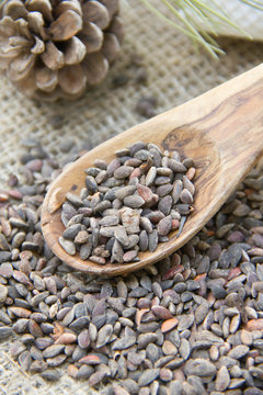 Aleppo pine seeds
