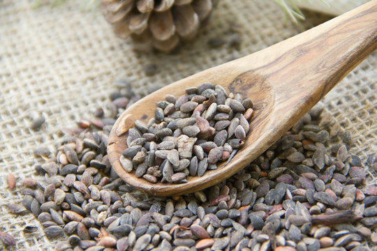 Aleppo pine seeds