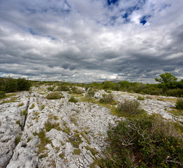 Rocky landscape of The Burren in County Clare, Ireland