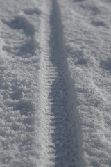 spuren in schnee