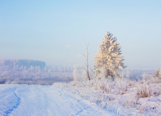 winter landscape