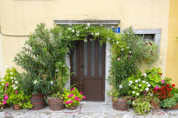 Fototapeta na wymiar Brown door with flowers, Buzet, Croatia