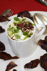 Paprika-Rhabarbersuppe