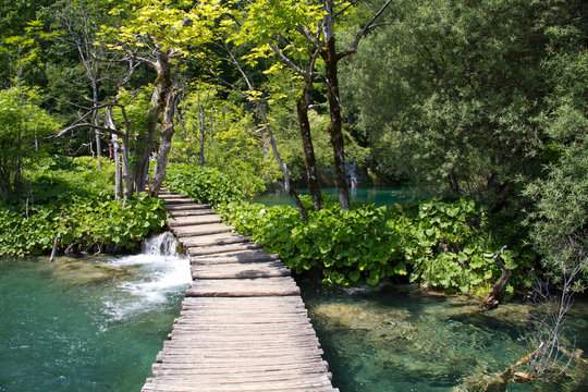 Plitvice Lakes National Park in Croatia © Daniel Smolcic
