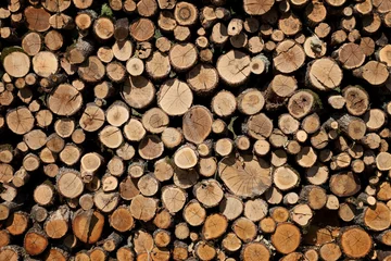 Möbelaufkleber Firewood stacked in the woodpile © Aleksey Sagitov