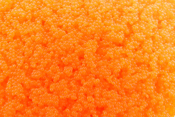 Egg shrimp background